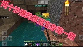 國(guó)產(chǎn)版口袋妖怪視頻,探索神奇寶貝的東方魅力之旅